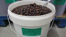 Olives noires au naturel (Coquillos) (origine Espagne) - Azur TJ Olives