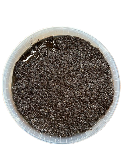 OLIVADE_NOIRE_FIGUE OLIVADE_NOIRE_FIGUE