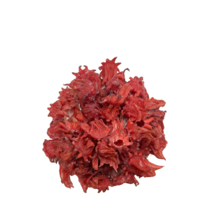 HIBISCUS DESHYDRATEE SUCREE THAILANDE 1,5KG